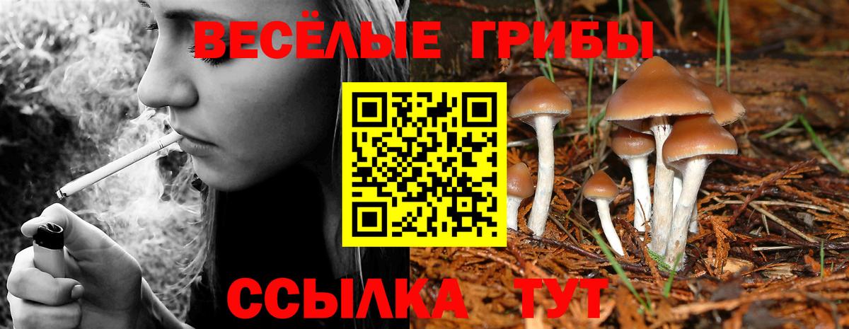 Галлюциногенные грибы ЛСД Чехов